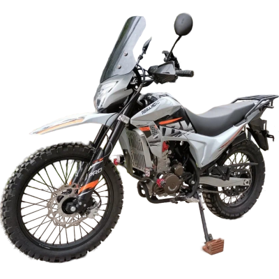 Мотоцикл Regulmoto TE PRO NB300