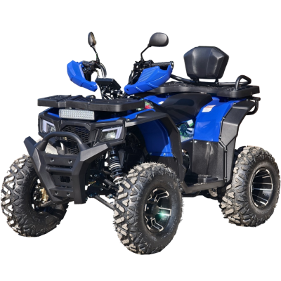 Квадроцикл Rmoto Lion 200 X PRO