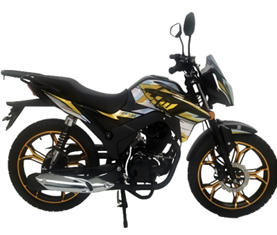 Мотоцикл ROLIZ MAJOR ZS163FML 200 сс  ПТС