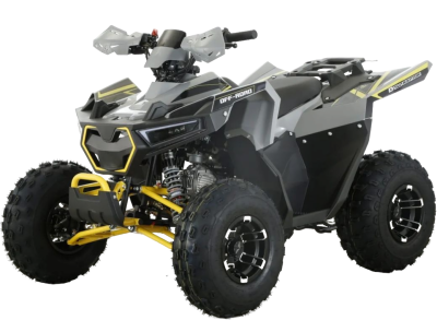Квадроцикл бензиновый MOTAX RAPTOR D125 LUX (3+1)