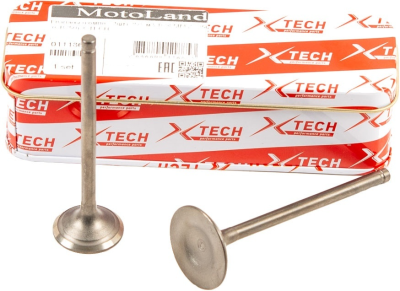 Клапаны ГРМ (компл=2шт) 169FMM (CB250) X-TECH