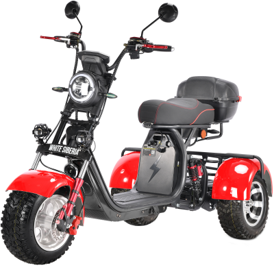 Трицикл WHITE SIBERIA PRO TRIKE 3000W  на колесах ALLROAD