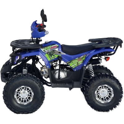 Квадроцикл Rmoto Lion 125 A PRO