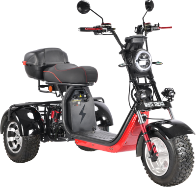 Трицикл WHITE SIBERIA PRO TRIKE 3000W  на колесах ALLROAD