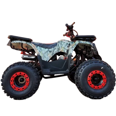 Квадроцикл WELS Thunder E2