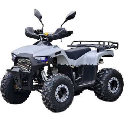 Квадроцикл Rmoto Lion 125 RR