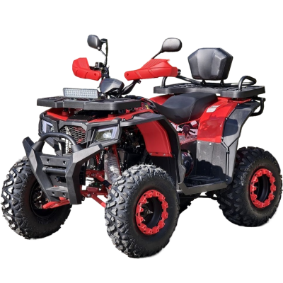 Квадроцикл Rmoto Lion 200 X