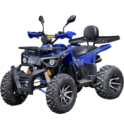 Квадроцикл Rmoto Lion 200 R