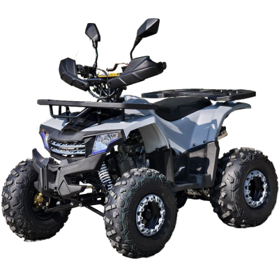 Квадроцикл Rmoto Lion 125 AА