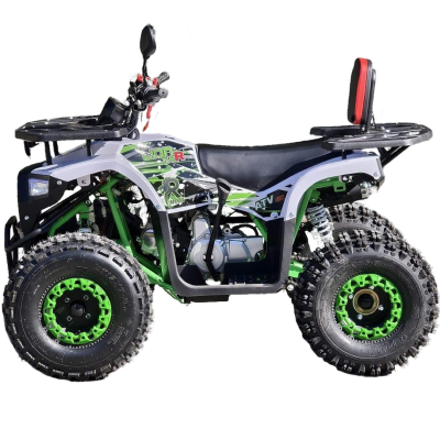 Квадроцикл Rmoto Lion 125 AR PRO