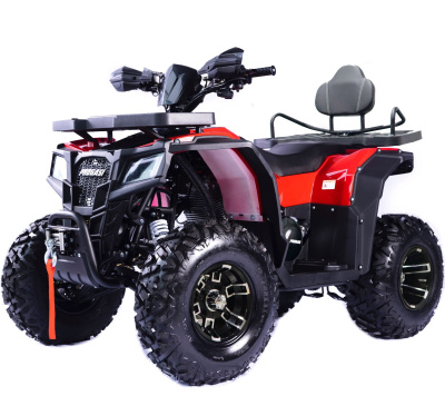 Квадроцикл Progasi Long 250