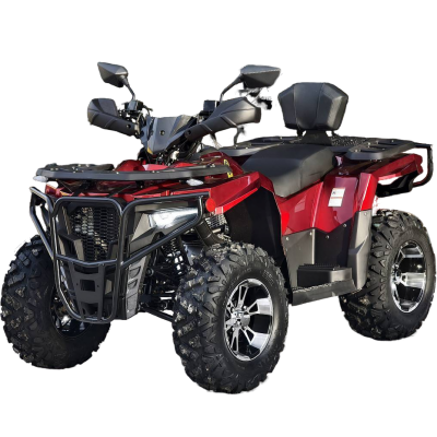 Квадроцикл Rmoto Lion King 200 