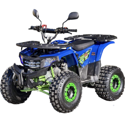 Квадроцикл Rmoto Lion 125 A LITE