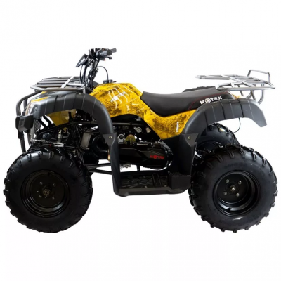 Квадроцикл бензиновый MOTAX GRIZLIK T 200  LUX