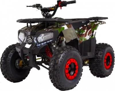 Квадроцикл WELS Thunder E2