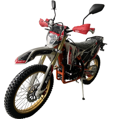 Мотоцикл ROLIZ SPORT-007 ZS172FMM-3A 250сс с ПТС