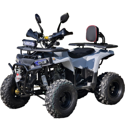 Квадроцикл Rmoto Lion 130 RR