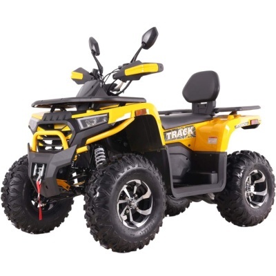 Квадроцикл Motoland  VOX250 WILD TRACK X PLUS