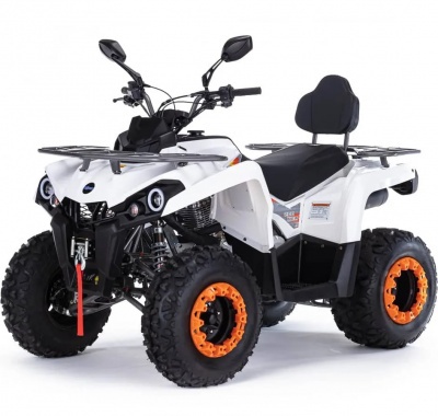 Квадроцикл бензиновый MOTAX GRIZLIK 200 ULTRA