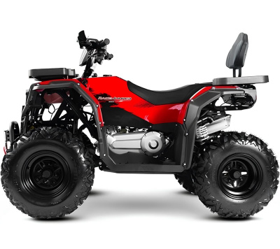 Квадроцикл Progasi Long 250