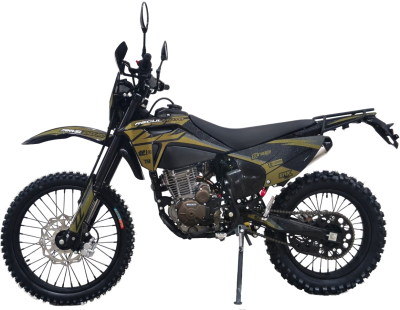 Мотоцикл Regulmoto ZZ 300