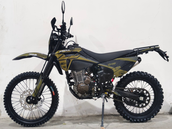 Мотоцикл Regulmoto ZZ 300