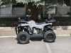 Квадроцикл Rmoto Lion 130 RR