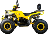 Квадроцикл SPRMOTORS ATV Blade- 200V