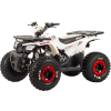 Квадроцикл Motoland WILD 125 
