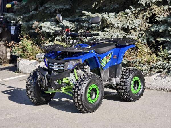 Квадроцикл Rmoto Lion 125 A LITE
