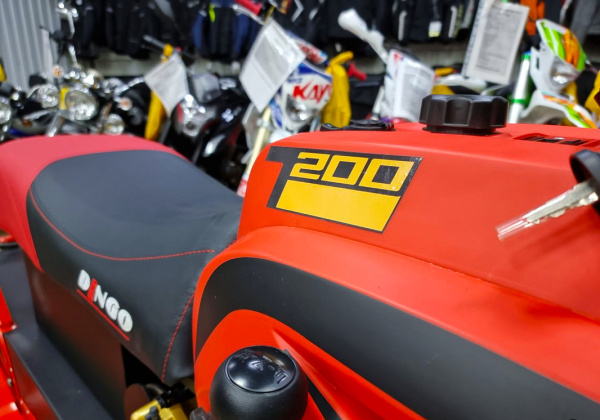 Снегоход DINGO T200