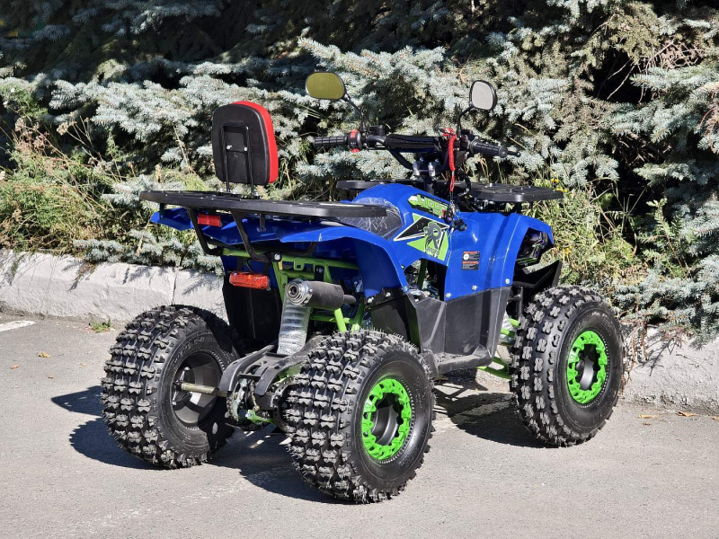 Квадроцикл Rmoto Lion 125 A