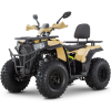 Квадроцикл BRZ Dune 200 
