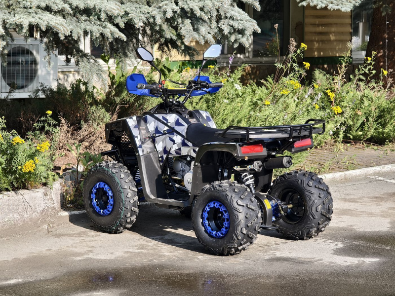 Квадроцикл Rmoto Lion 125 RR