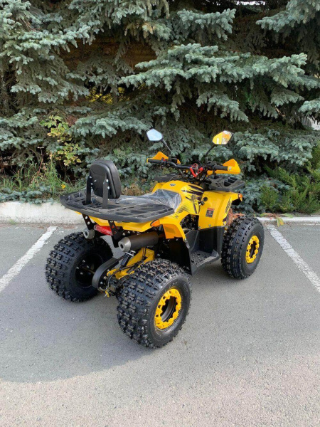 Квадроцикл Rmoto Lion 125 AR