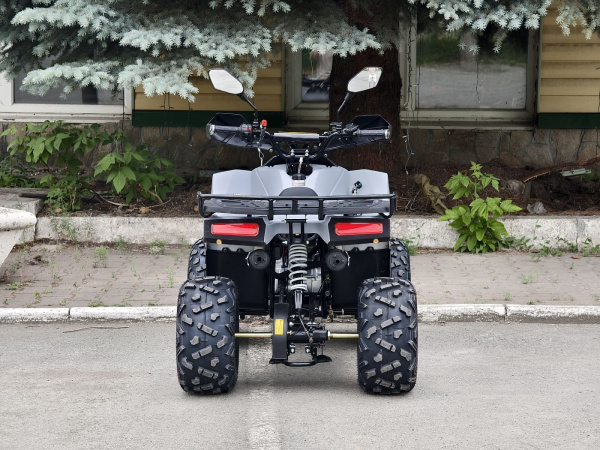 Квадроцикл Rmoto Lion 125 RR