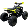 Квадроцикл Motoland  VOX125 RAPTOR
