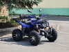 Квадроцикл Rmoto Lion 200 R