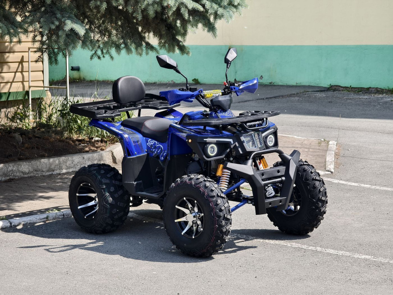 Квадроцикл Rmoto Lion 200 R