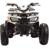 Квадроцикл Motoland WILD 125 