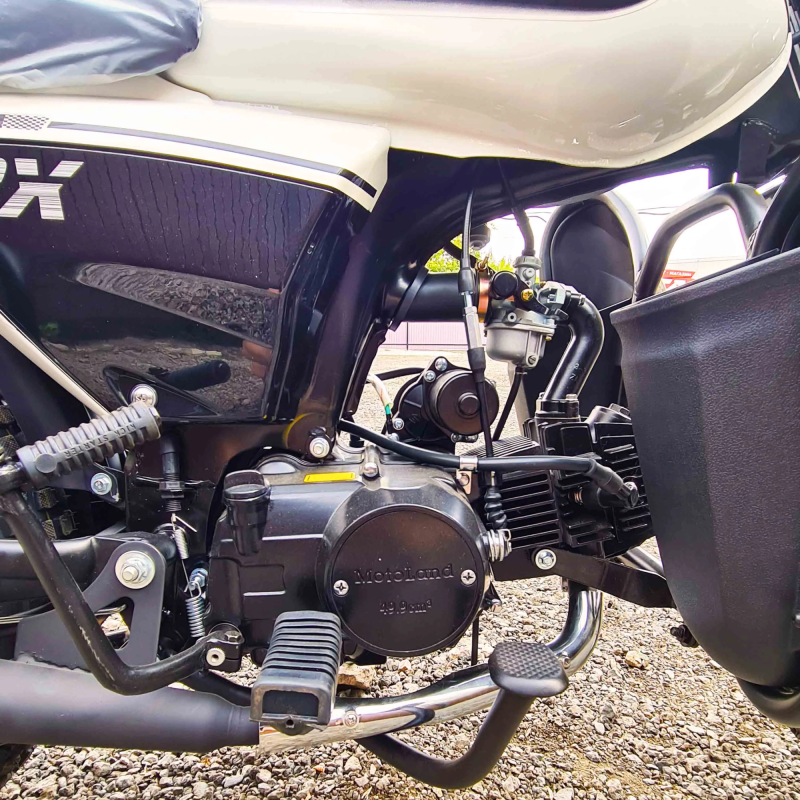 Мопед Motoland Альфа RX LUX 11