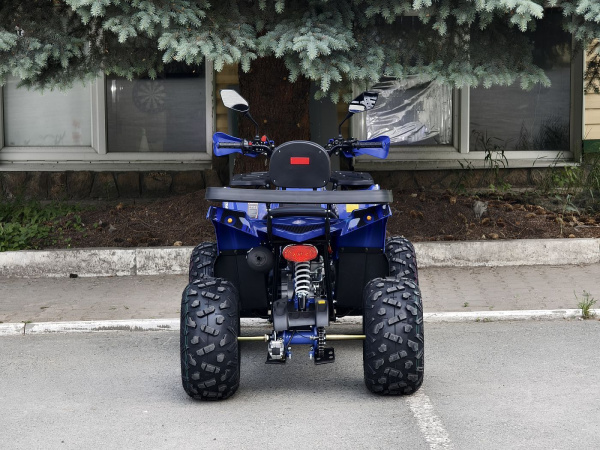 Квадроцикл Rmoto Lion 200 R