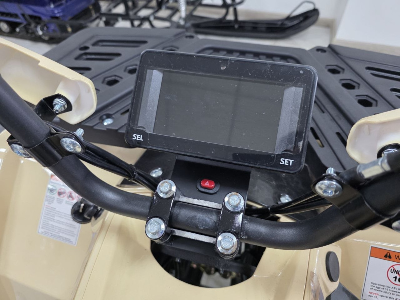 Квадроцикл Rmoto Lion 200 X PRO