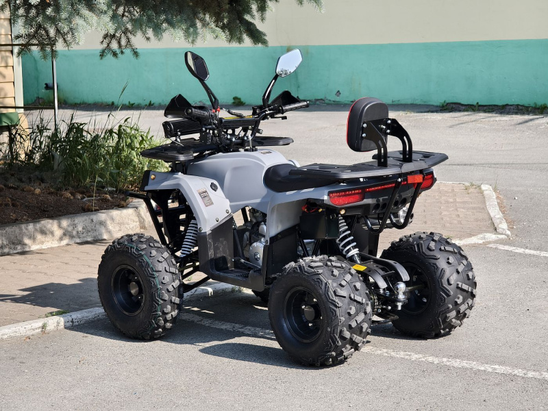 Квадроцикл Rmoto Lion 130 RR