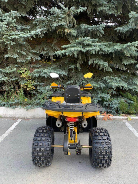 Квадроцикл Rmoto Lion 125 AR