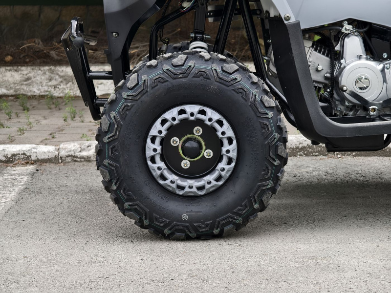 Квадроцикл Rmoto Lion 125 RR