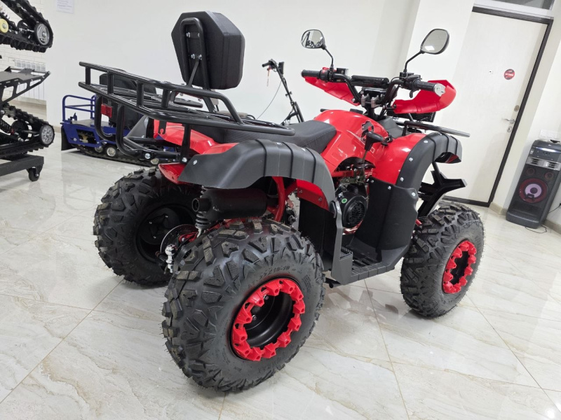 Квадроцикл Rmoto Lion 200 LITE
