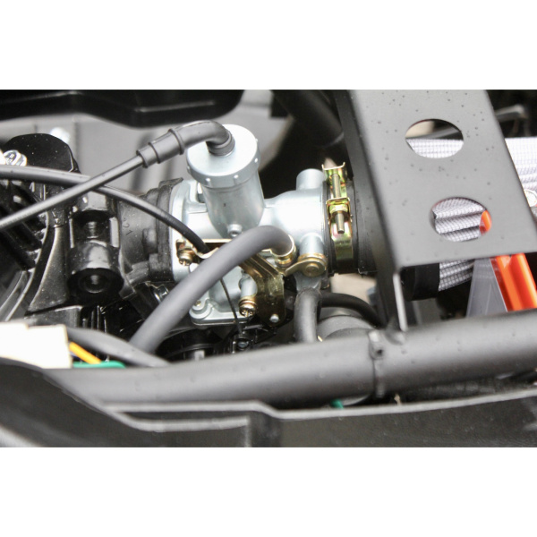 Квадроцикл IRBIS ATV250 с ПСМ 