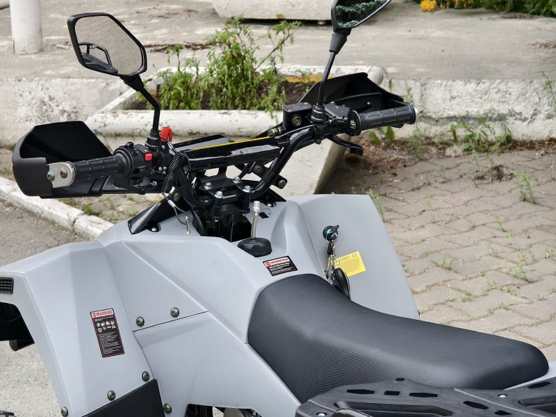 Квадроцикл Rmoto Lion 125 RR