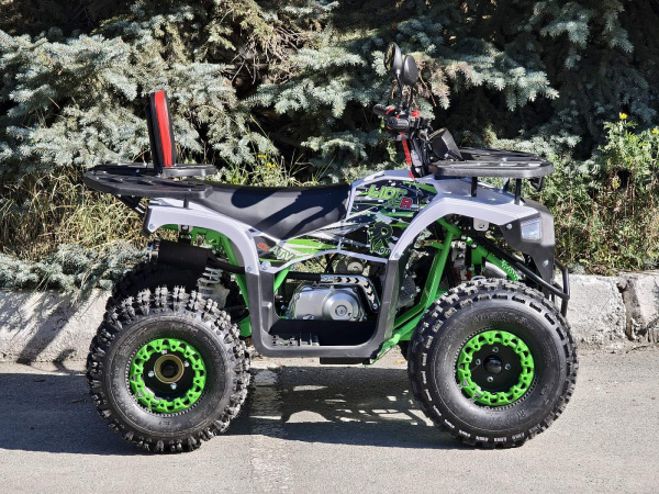 Квадроцикл Rmoto Lion 125 AR PRO